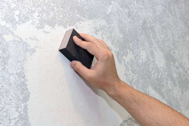 Best Attic Mold Removal  in Hudson, OH