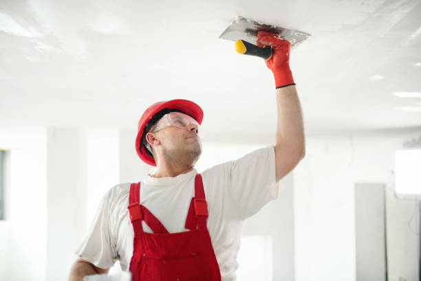 Best Biohazard Mold Removal  in Hudson, OH