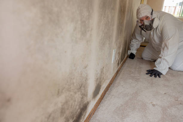 Best Post-Remediation Verification Testing  in Hudson, OH