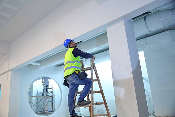 Best Basement Mold Removal  in Hudson, OH