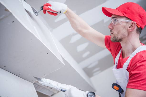Best Asbestos and Lead Testing During Mold Inspection  in Hudson, OH